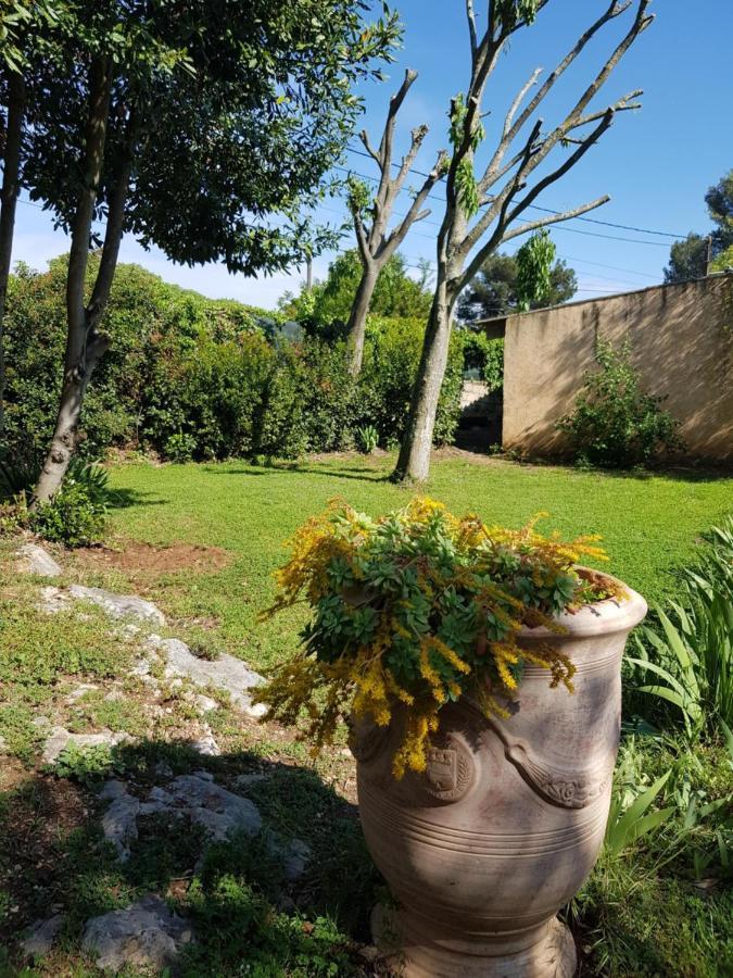 Cap Au Sud Sweet Home Nimes Exterior foto