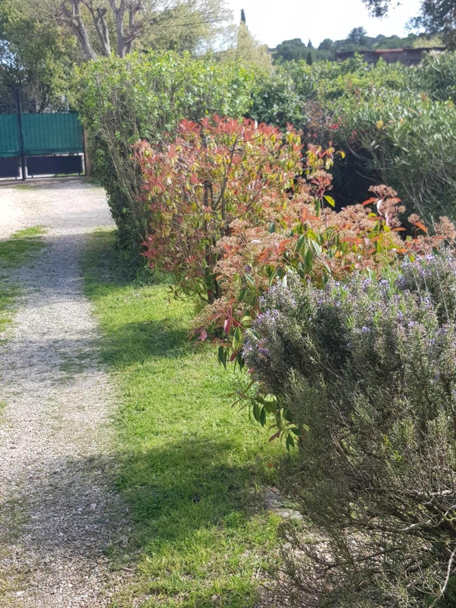 Cap Au Sud Sweet Home Nimes Exterior foto