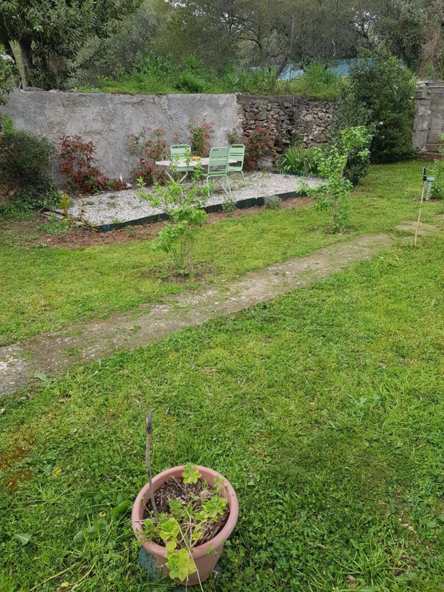 Cap Au Sud Sweet Home Nimes Exterior foto