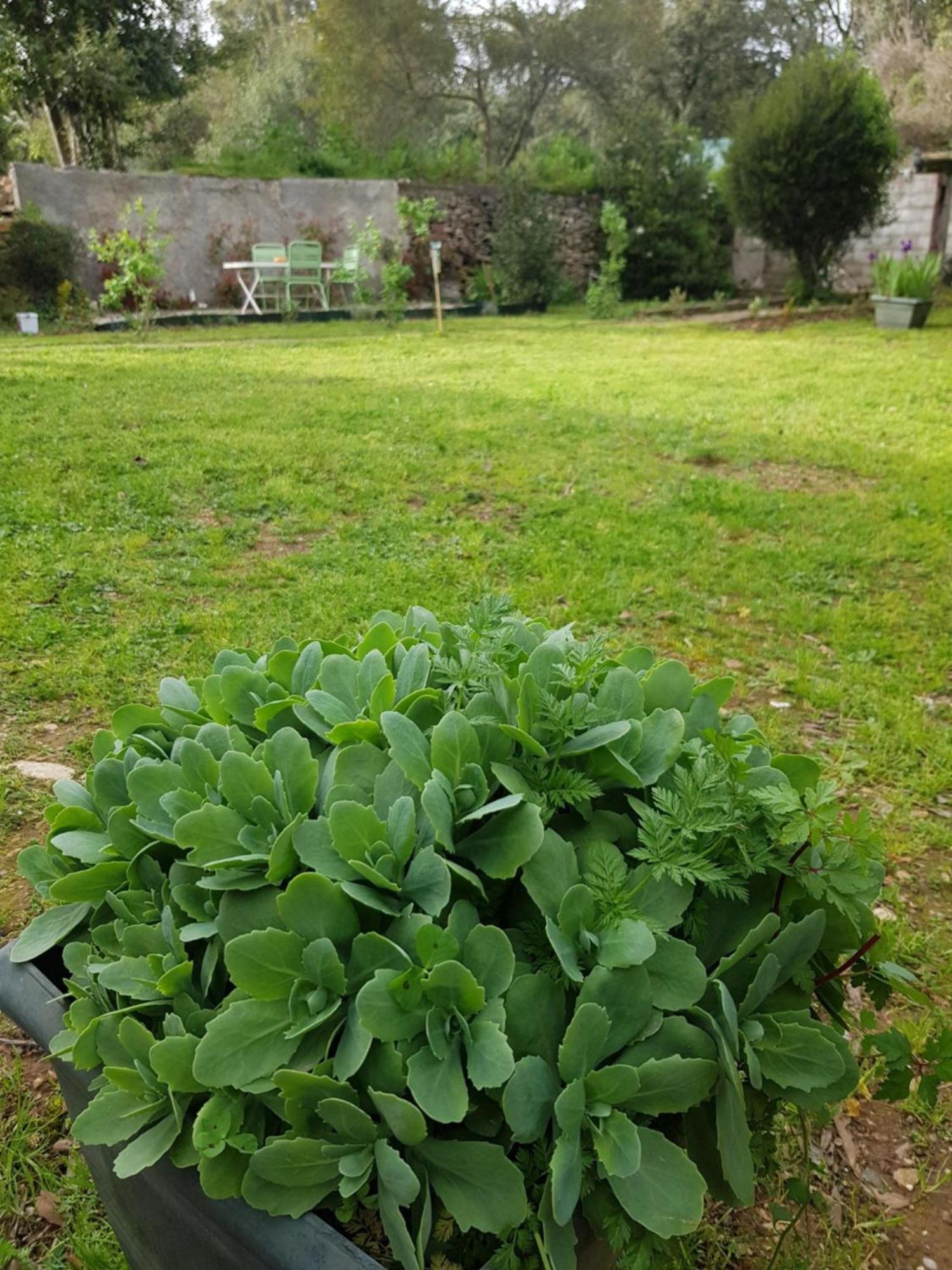 Cap Au Sud Sweet Home Nimes Exterior foto