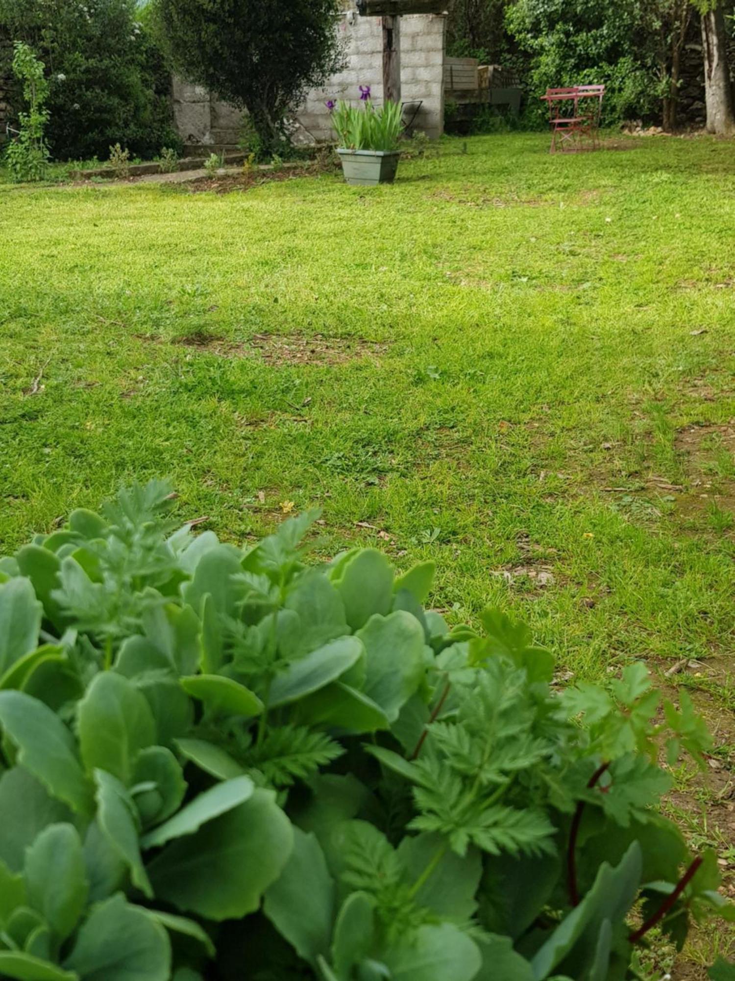Cap Au Sud Sweet Home Nimes Exterior foto